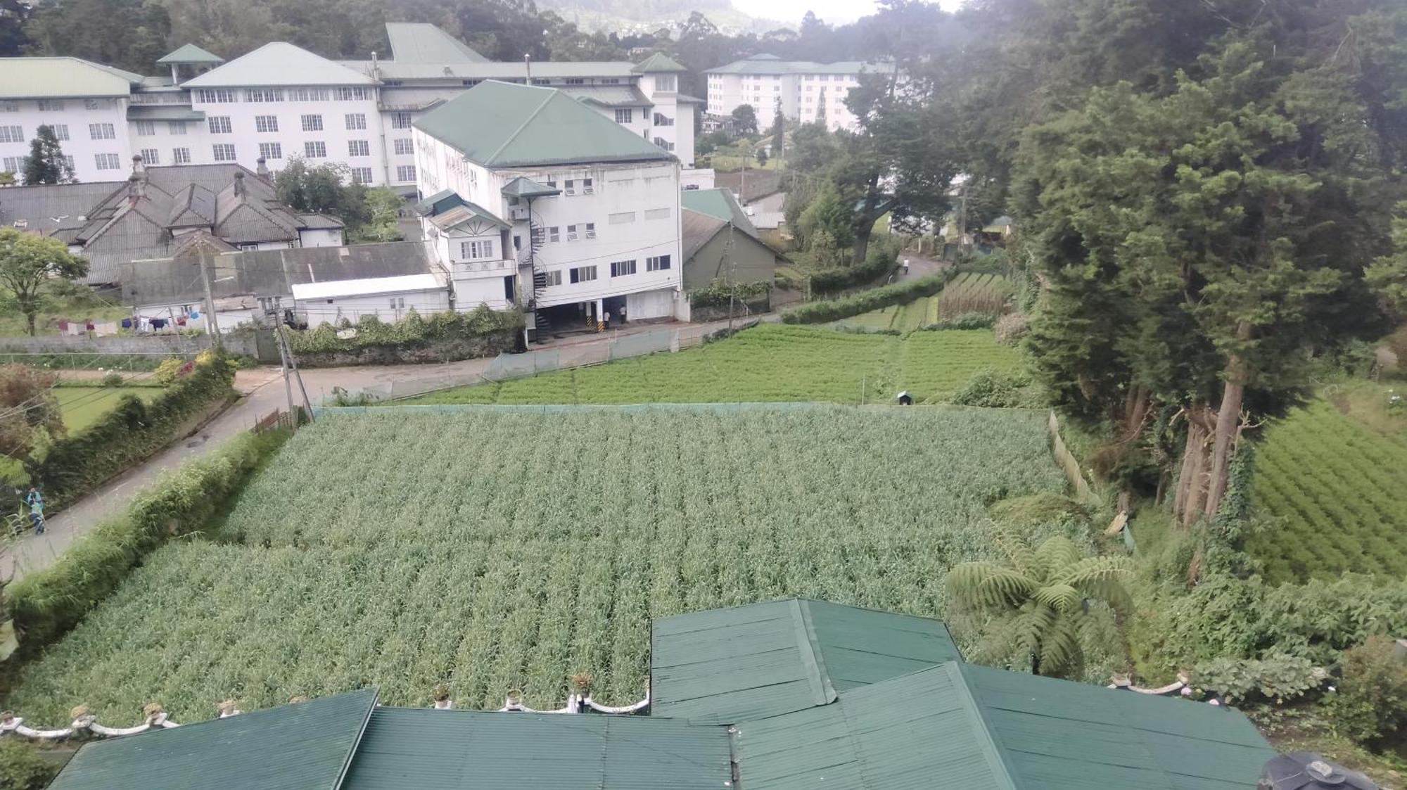 Nuwara Eliya Luxury Apartment Exterior foto